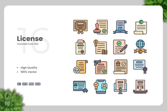 License Colored Icon