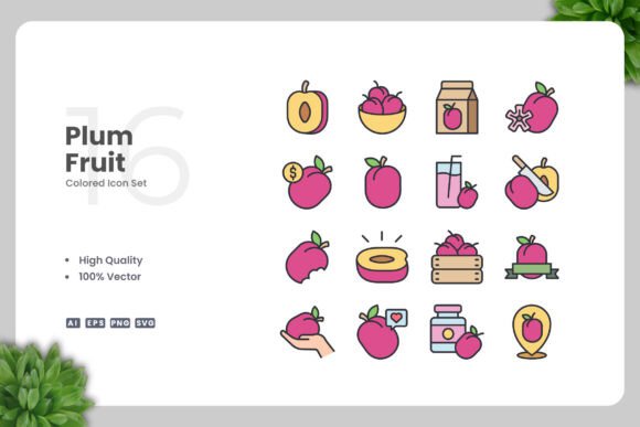 Plum Fruit Colored Graphics
